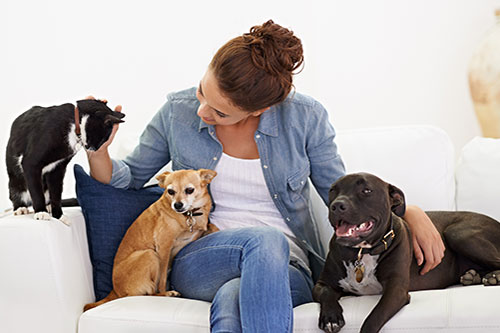 Showcase your Pet Sitting business to local Winnipeg area customers.