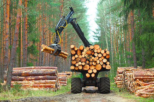 Showcase your forestry construction business to Winnipeg and surrounding area customers.
