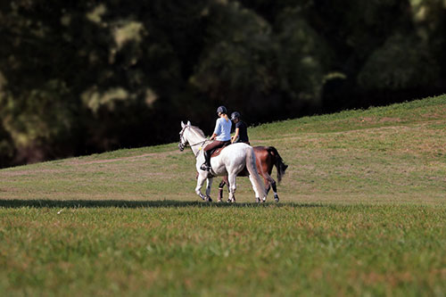 Advertise your Winnipeg area activities to residents and tourists alike.